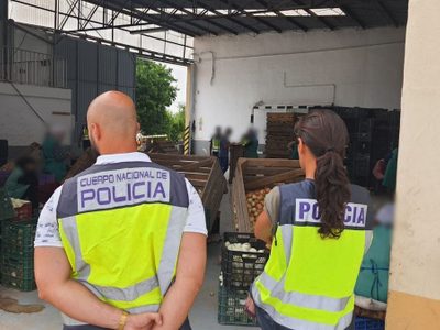 Explotación laboral en España: obligaban a migrantes a pelar cebollas durante 16 horas sin parar