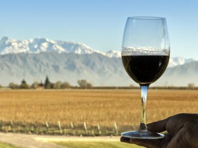 El vino es una de las bebidas con alcohol más consumidas en Argentina