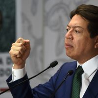 Mario Delgado: se pondrán límites a la iniciativa de AMLO
