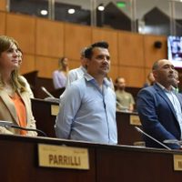 Diputados de Neuquén pidieron que el DNU de Milei se debata en el Congreso de la Nación