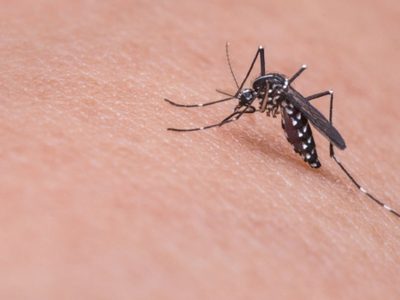 No tires las latas de durazno y transformalas en un colgante para ahuyentar a los mosquitos esta primavera