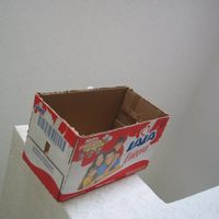 No tires los envases de cartón vacíos: hacé este proyecto estilo Pinterest, ideal para vender o regalar
