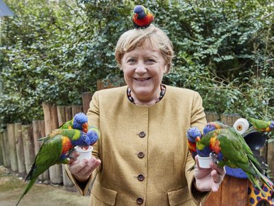 Angela Merkel fue picoteada por loros: la divertida imagen se hizo viral