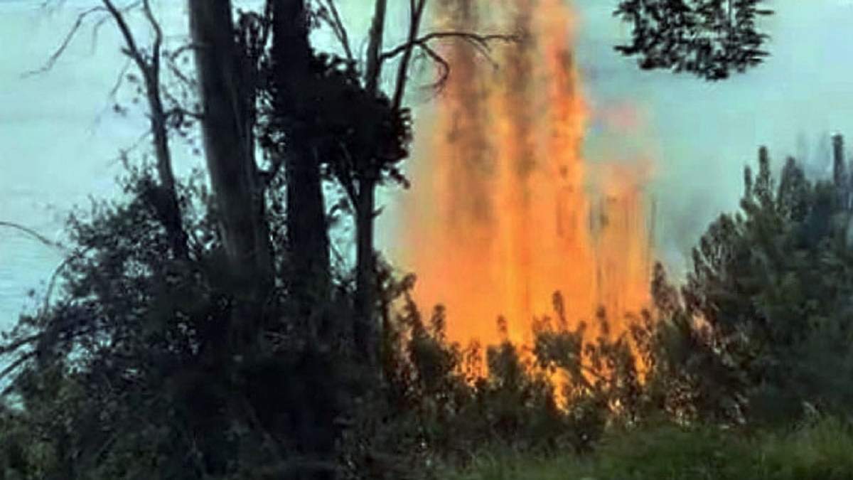 Alertan sobre el riesgo de incendios forestales. Fuente: (La Angostura Digital).