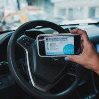 El Gobierno oficializó la implementación de la cédula azul digital