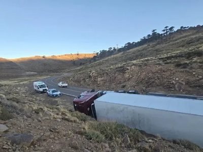 Pino Hachado: volcó un camión brasilero con 20 toneladas de salmón