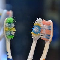Cómo limpiar el cepillo de dientes y evitar que se convierta en un foco de bacterias