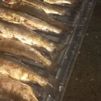 Detuvieron a varias personas por pescar sin permiso en los ríos Catán Lil y Aluminé