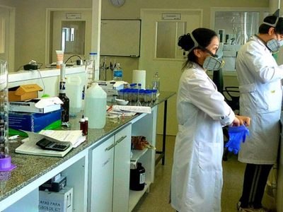 Coronavirus: la revolucionaria investigación de la que forma parte Neuquén