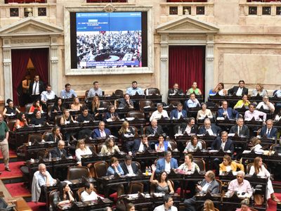 Ley de Bases: cuáles son los cambios que introduce y cómo afectará el día a día si se aprueba