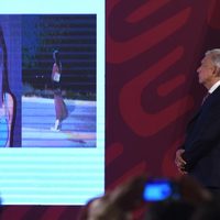 FGR atraerá el caso Debanhi Escobar, adelanta Mejía Berdeja