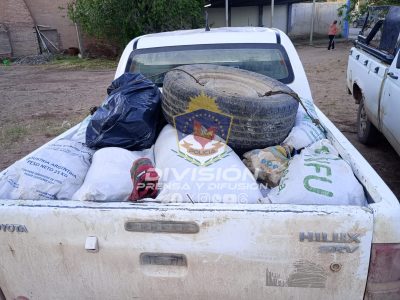 Secuestraron carne de animales faenados, armas y municiones en Rincón de los Sauces