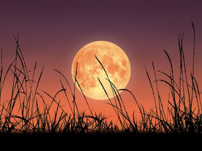 Horóscopo: los signos más afectados y el más beneficiado por la Luna de Cosecha