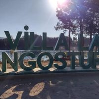 Preocupación en Villa La Angostura por la tala ilegal en una reserva natural
