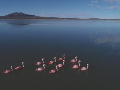 Instalan el primer sensor de alta frecuencia para el monitoreo de cuerpos de agua en Laguna Blanca