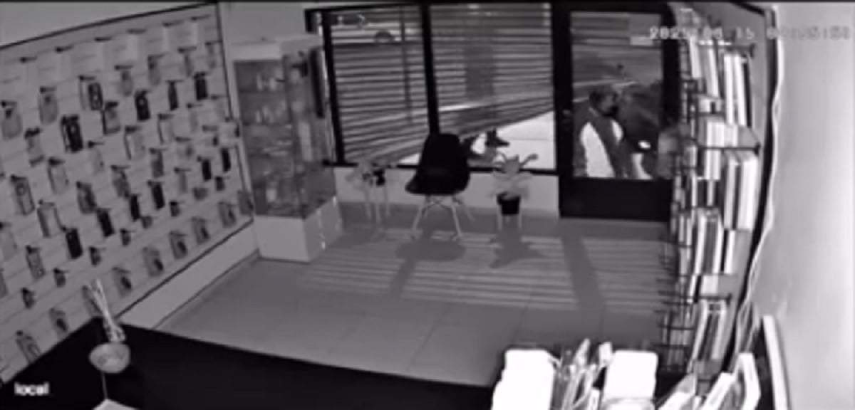 Los ladrones destrozaron la persiana y la puerta de vidrio para ingresar. Fuente (captura de video)