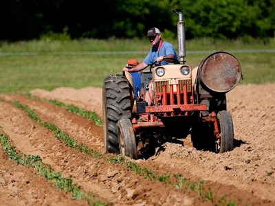 El Gobierno eliminó las retenciones de unos 70 productos agroindustriales de economías regionales