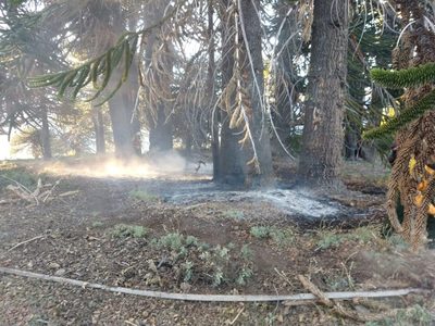 Investigan si un fogón mal apagado es la causa de un gran incendio forestal en Rucachoroi