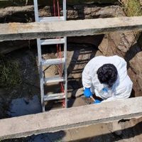 Recuperan en Jalisco 31 cadáveres en fosas clandestinas