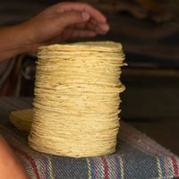 AMLO promete que el precio de la tortilla no aumentará en 2024
