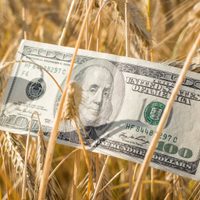 Alivio para el campo: el Gobierno oficializó la baja de retenciones a los principales productos