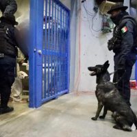 Se fuga de penal preso acusado del homicidio de una estudiante de la Universidad del Valle de Puebla