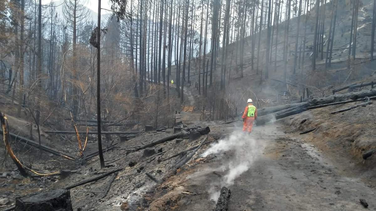 Postal del después del fuego en la Comarca Andina. Fuente: (Twitter)