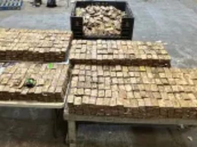 Golpe al narco en el Río Bravo: EU intercepta droga cuyo valor ronda los 20 millones de dólares
