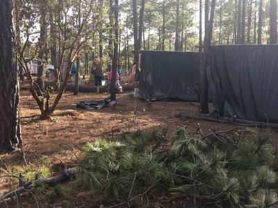 Indígenas se plantan en bosque de la Sierra Tarahumara para evitar tala; anuncian más acciones