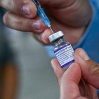 Vacuna de Pfizer: a quiénes se les administrará el inmunizante que arribó la semana pasada