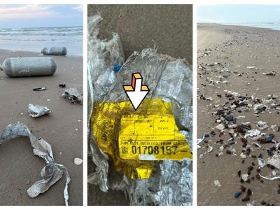 Encuentran restos de un cohete Starship en una playa de Tamaulipas