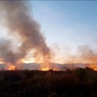 Argentina bajo fuego: hay cuatro provincias con incendios activos