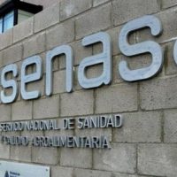 Gripe aviar: Neuquén es la tercera provincia con más casos en el país