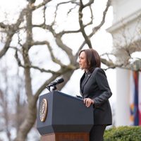Arrestan a un hombre con un fusil en su vehículo frente a la residencia oficial de Kamala Harris