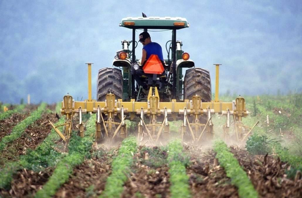 Artistas y periodistas agradecen al sector agroalimentario. Fuente: (Twitter)