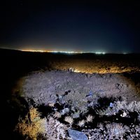 Encontraron el cuerpo de una mujer semi enterrado en la meseta de Neuquén