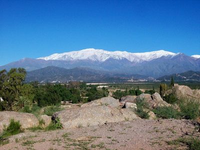 Aceitunas y aceite de gran calidad: Chilecito, un lugar único en Argentina