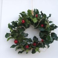 La costumbre de besarse bajo hojas de muérdago en Navidad