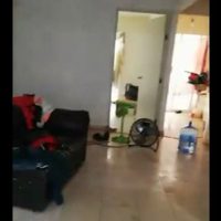 Abandonados, niños de 3 y 4 años iban a cocinar un gato porque tenían hambre