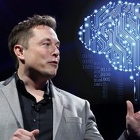 Tesla presenta su primer robot humanoide Optimus; esto costará