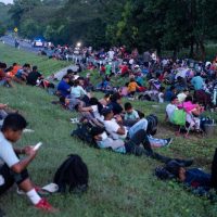 Activista acusa a INM de fomentar la violencia y xenofobia contra la caravana migrante