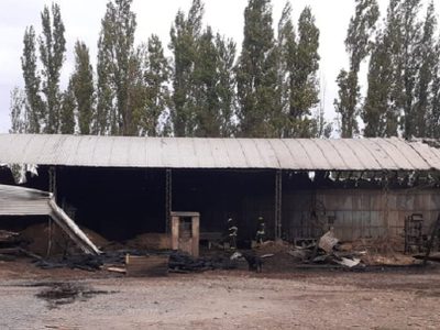 Incendio que comenzó en una base de Pehuenche, arrasó con un aserradero