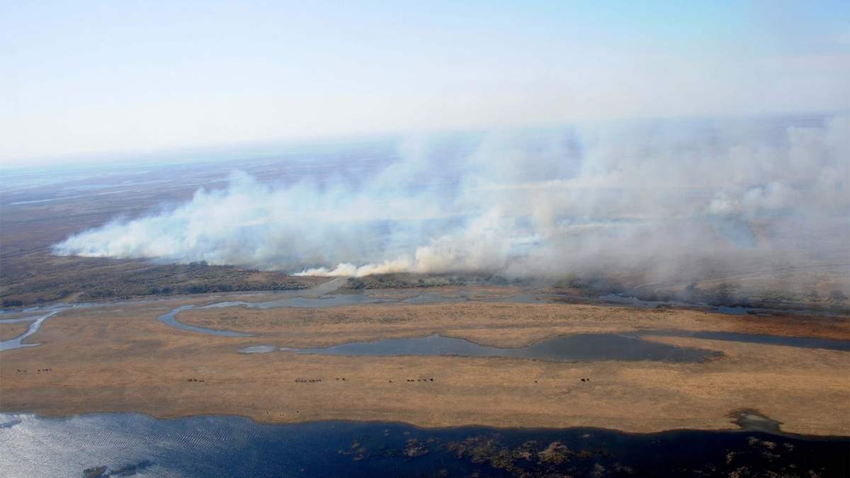 Incendio en el Delta del Paraná. Fuente: (Twitter)