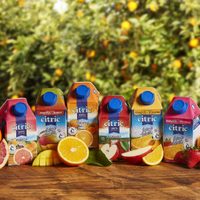 No tires los envases de cartón de jugo: mirá cómo convertirlos en los portavelas más chic