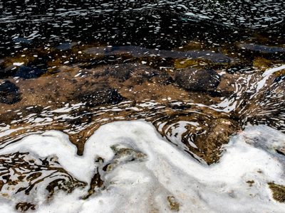 Científicos canadienses encontraron una forma de romper los "químicos eternos"