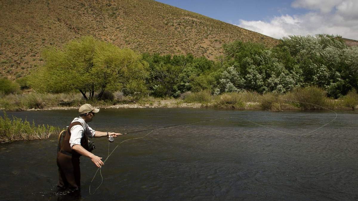 Pescadores denuncian qué ocurre en la región con la actividad. Fuente: (Twitter)