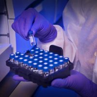 Coronavirus en Neuquén: la curva, los contagios y el buen presente