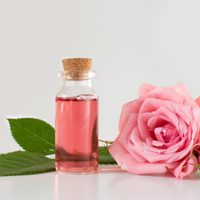 Plantas: prepará esta increíble agua de rosas con tus flores marchitas y sin gastar ni un peso