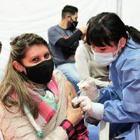Llegaron más dosis de la vacuna Sinopharm a Neuquén