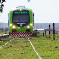 Vuelven los camarotes y bandejas para autos al Tren Patagónico